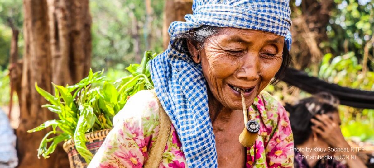 Close-up van een oudere Cambodiaanse vrouw met een pijp in haar mond en een mand met geplukte bosproducten op haar rug.
