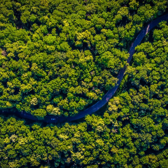 Aerial view forest - Photo by Vlad Hilitanu on Unsplash