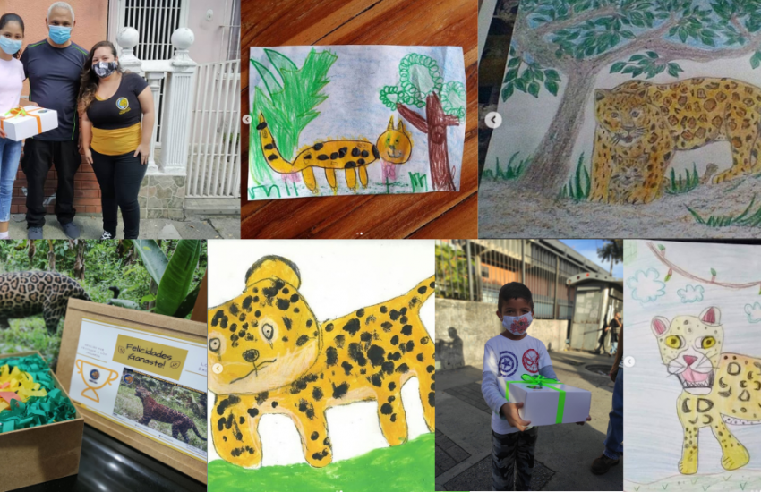 Jaguar Day Venezuela Illustrations of the children