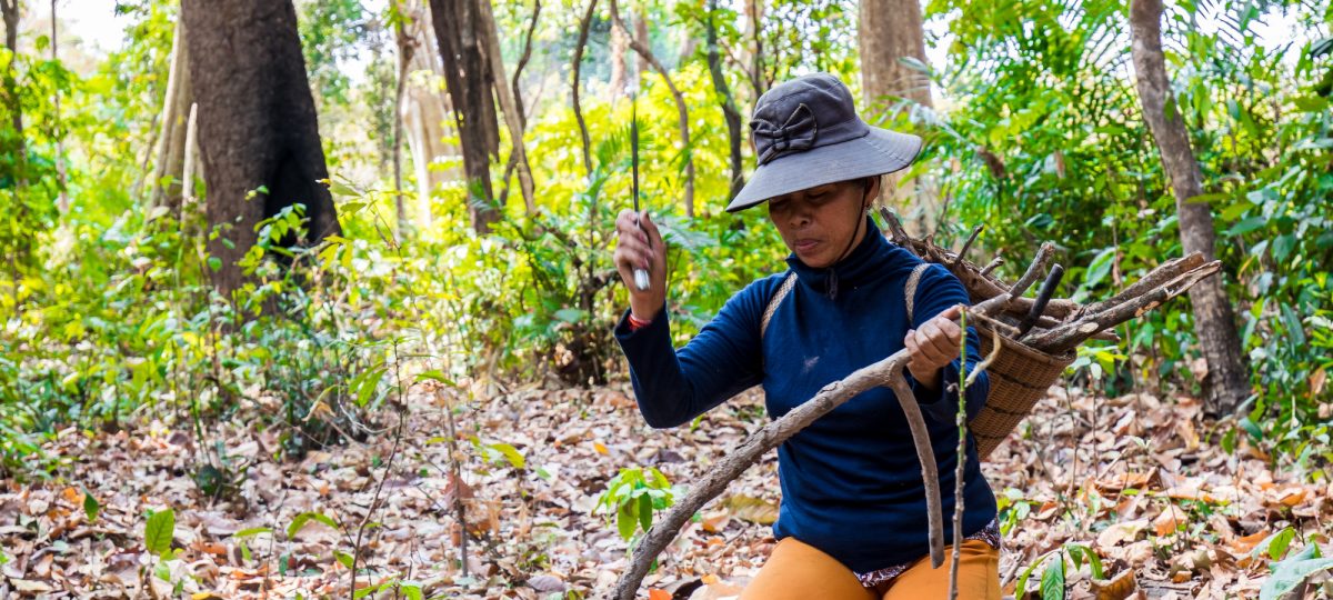 Woman collecting wood (c) Kouy Socheat, NTFP Cambodia IUCN NL