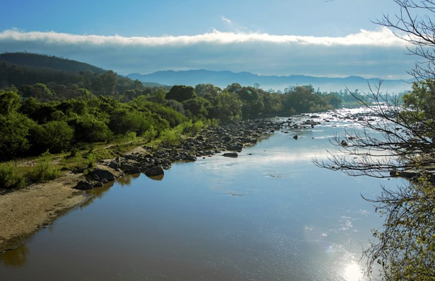 A broad river in the Bolivian Chaco ecoregion