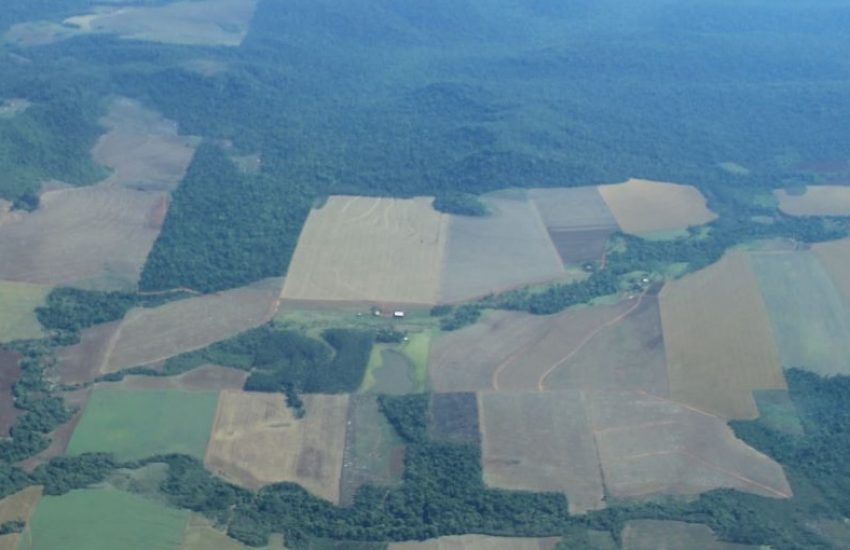 Deforestation in Paraguayan Chaco (c) Alberto Yanosky