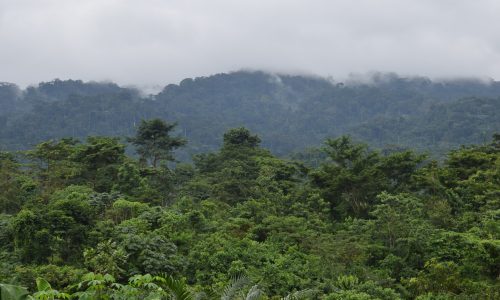 Atewa Forest Ghana