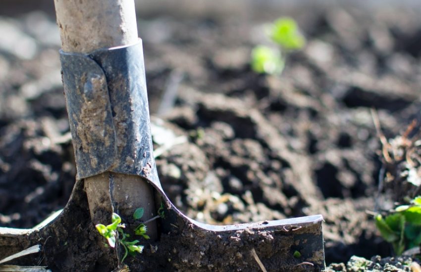 Shovel in earth (C) Lukas via Pexels