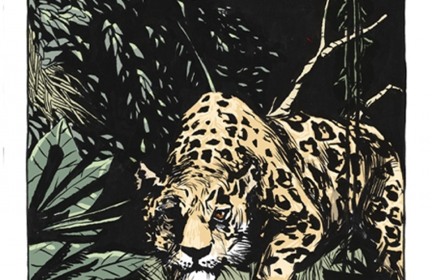 Graphic drawing of jaguar