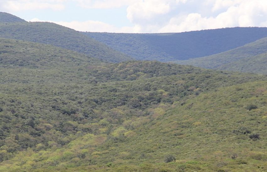 Paraguayan Chaco (c) WWF Paraguay