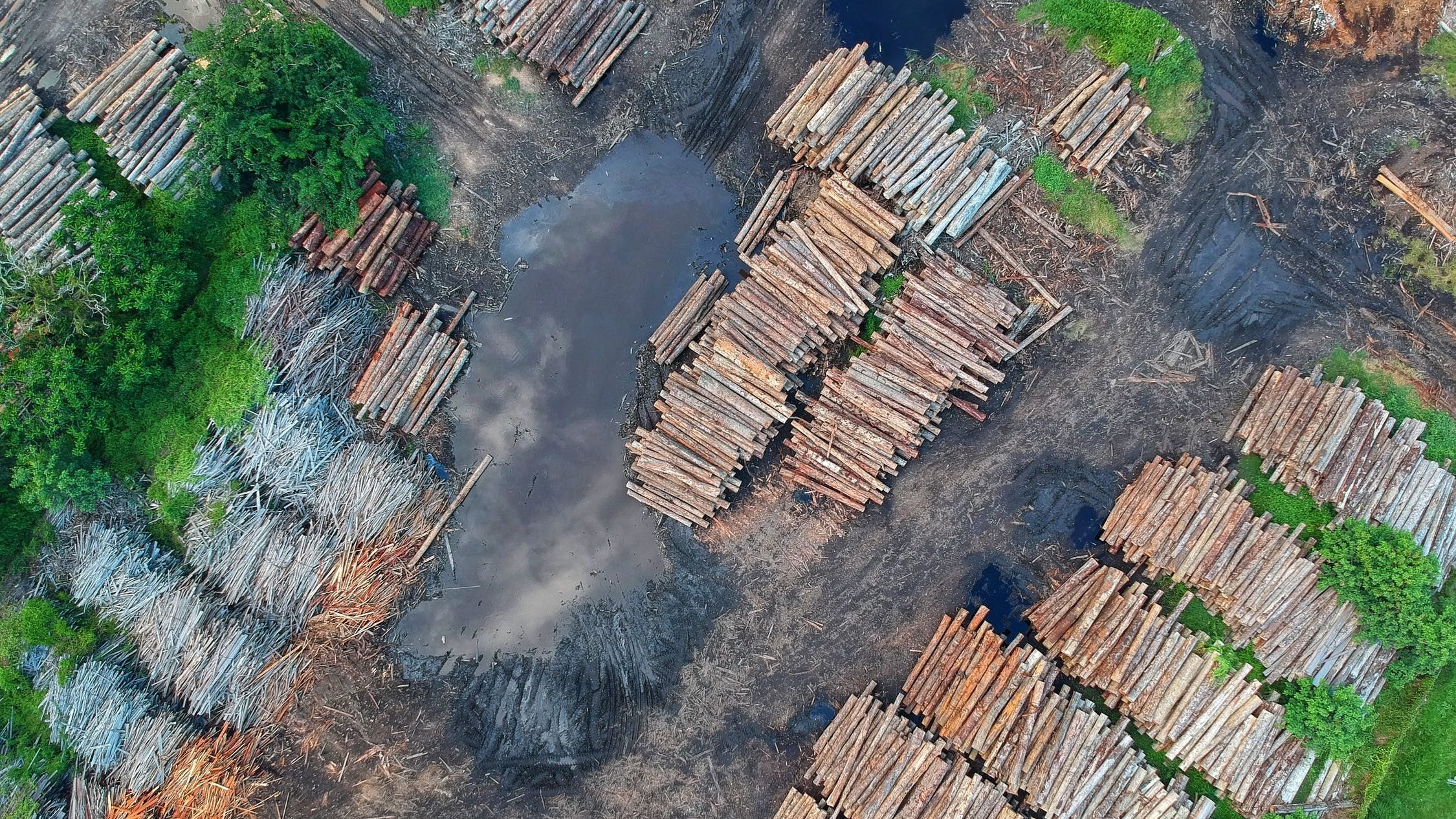 Aerial photograph of logging site.