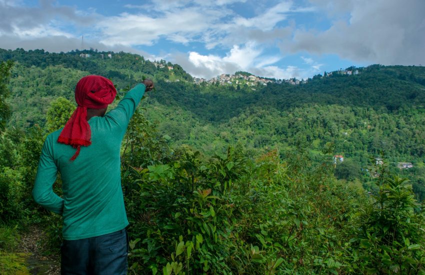 Man standing on a forested hill.
