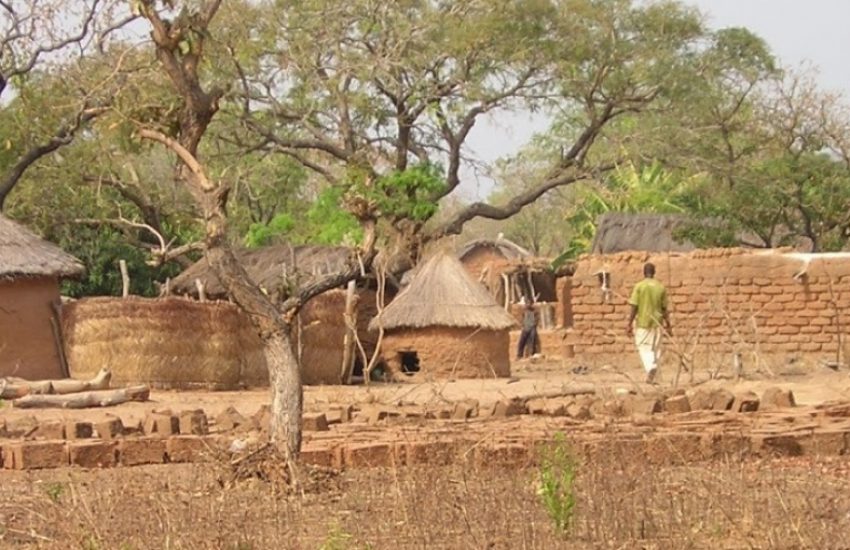Shea trees and Mognore community on fringes of Mole National Park (c) A Rocha Ghana