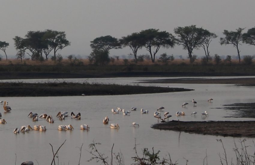 Lake Rukwa Tanzania (c) Fanny Verkuijlen