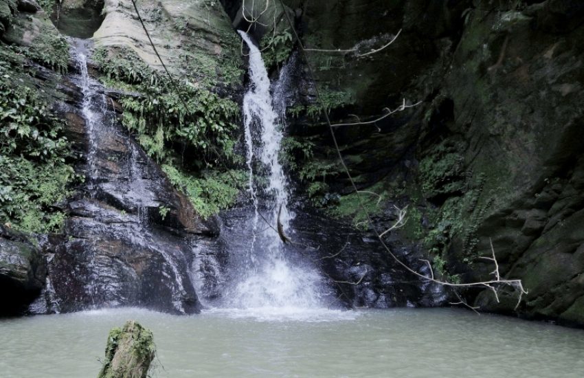The Atewa forest is the source of three rivers, that provide water t over 5 million people