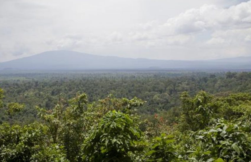Virunga National Park © Jan Joseph Stock