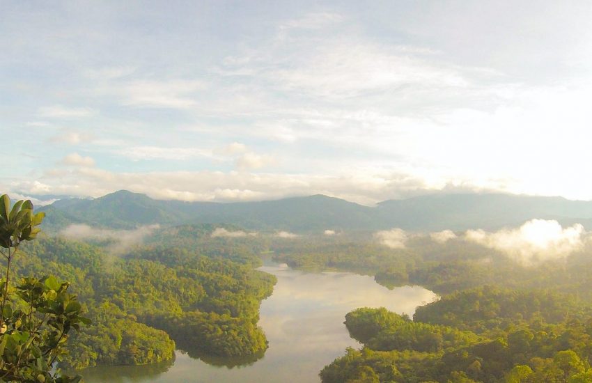 Forest Borneo (c) Eutah Mizushima via Unsplash