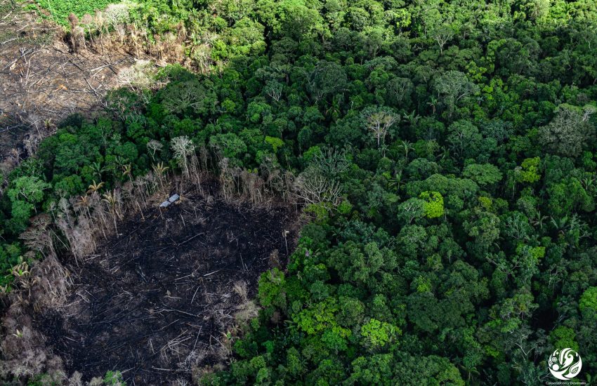 Deforestation in the Colombian Amazon_Photo FCDS
