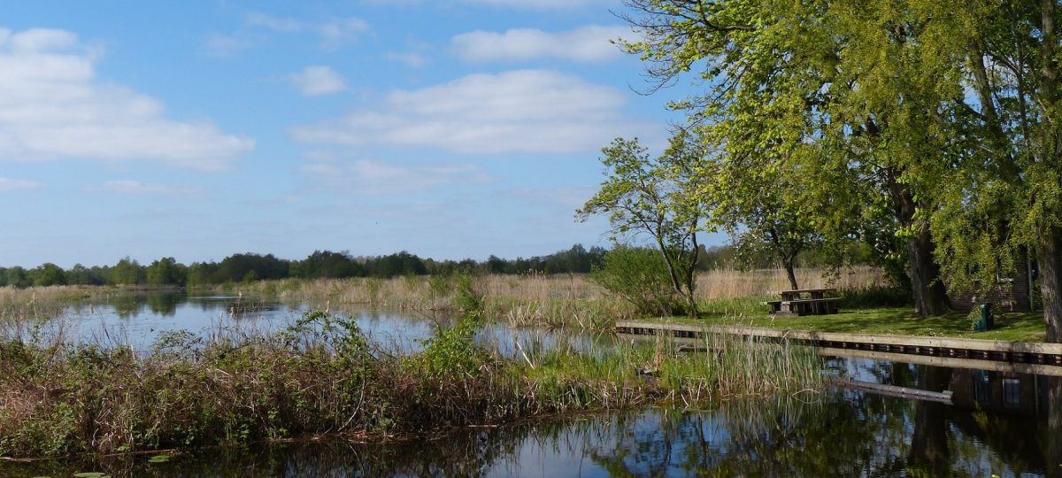 Weerribben in Nederland Foto Elly Kelders via Unsplash