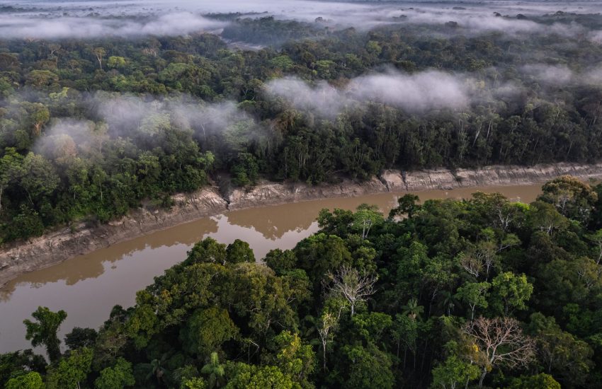 Peruvian Amazon Photo SPDA