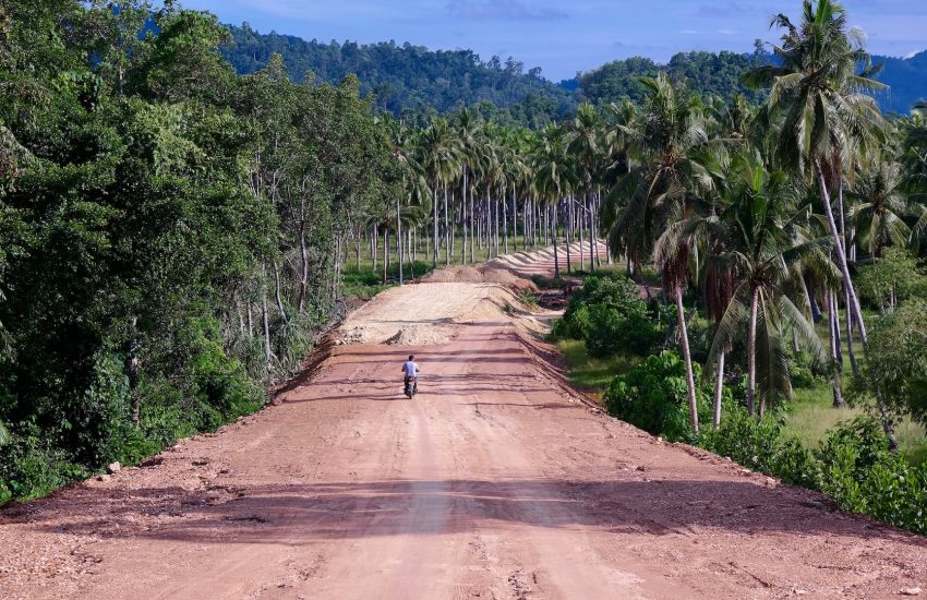 Road in Palawan, the Philippines. Photo by Alessio Roversi on Unsplash.
