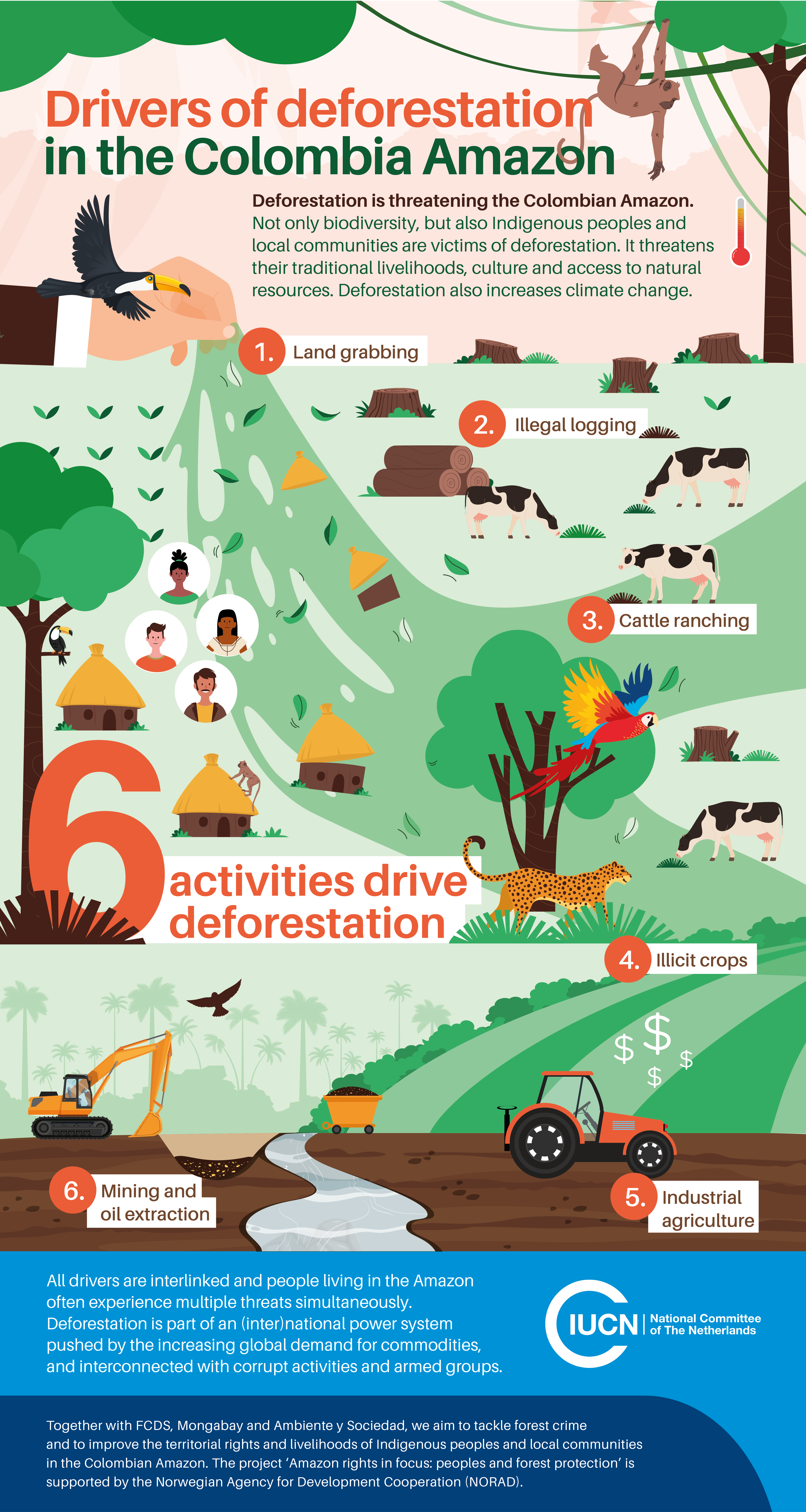 Drivers of deforestation in the Colombian Amazon