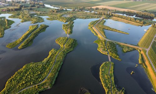Wetlands en het Nederlandse waterdilemma
