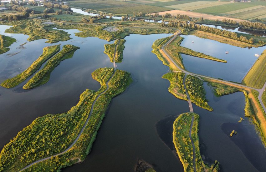 Wetlands en het Nederlandse waterdilemma