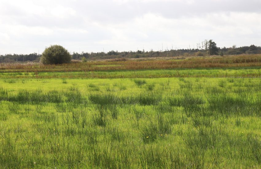 Nationaal Park Weerribben-Wieden