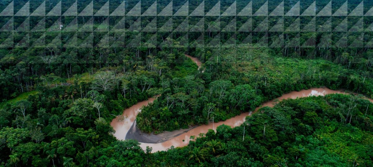 Photo Tom Laffay_Madre de Dios in Peru