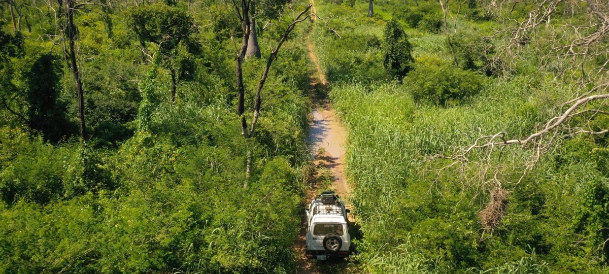 Lokaal natuurbeheer in Nembi Guasu Bolivia