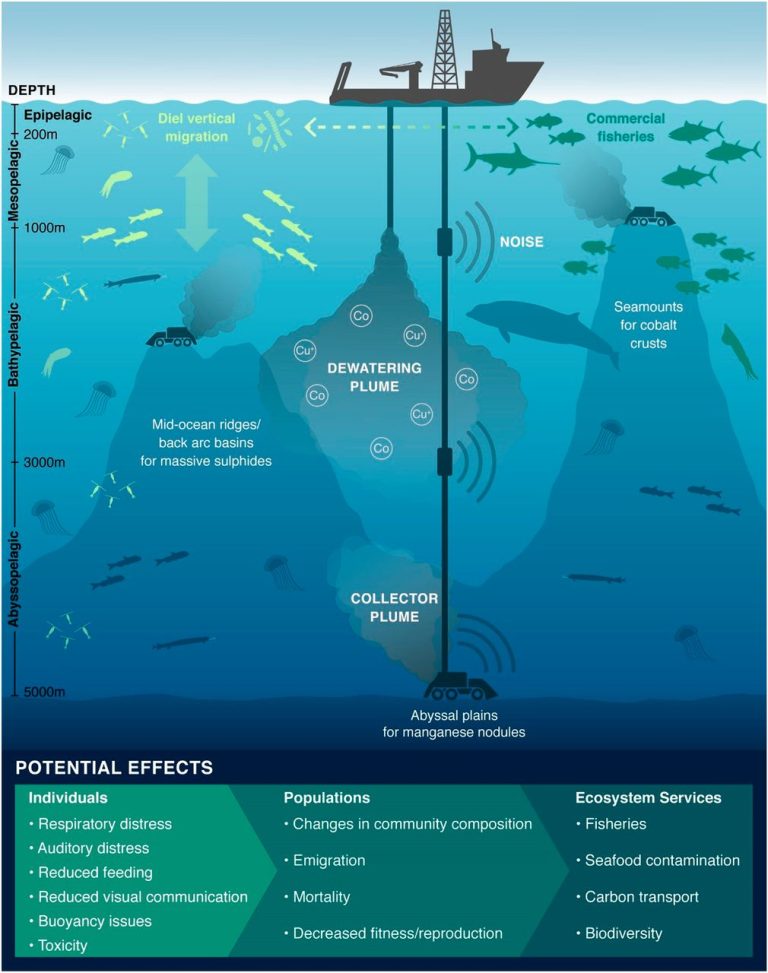 The impact of deep-sea mining on biodiversity, climate and human ...