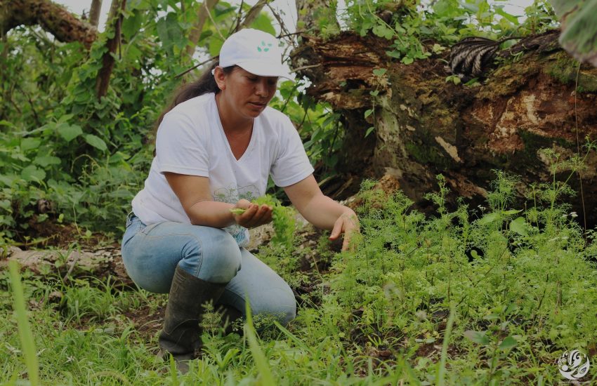 International Women's Day 2024 Photo FCDS