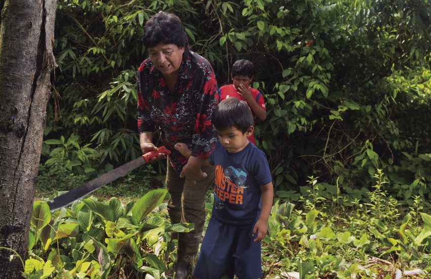 Women environmental defenders in Madre de Dios Foto Giancarlo Shibayama - SPDA