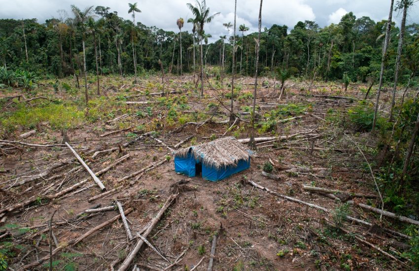 Deforestation in Madre de Dios_Photo by Tom Laffay