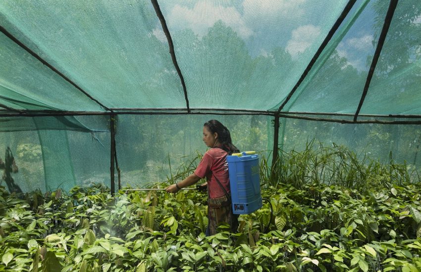 Women environmental defender from Madre de Dios Giancarlo Shibayama-SPDA