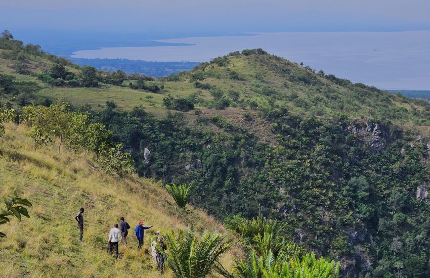 Protecting cycads in Uganda_Photo KFF