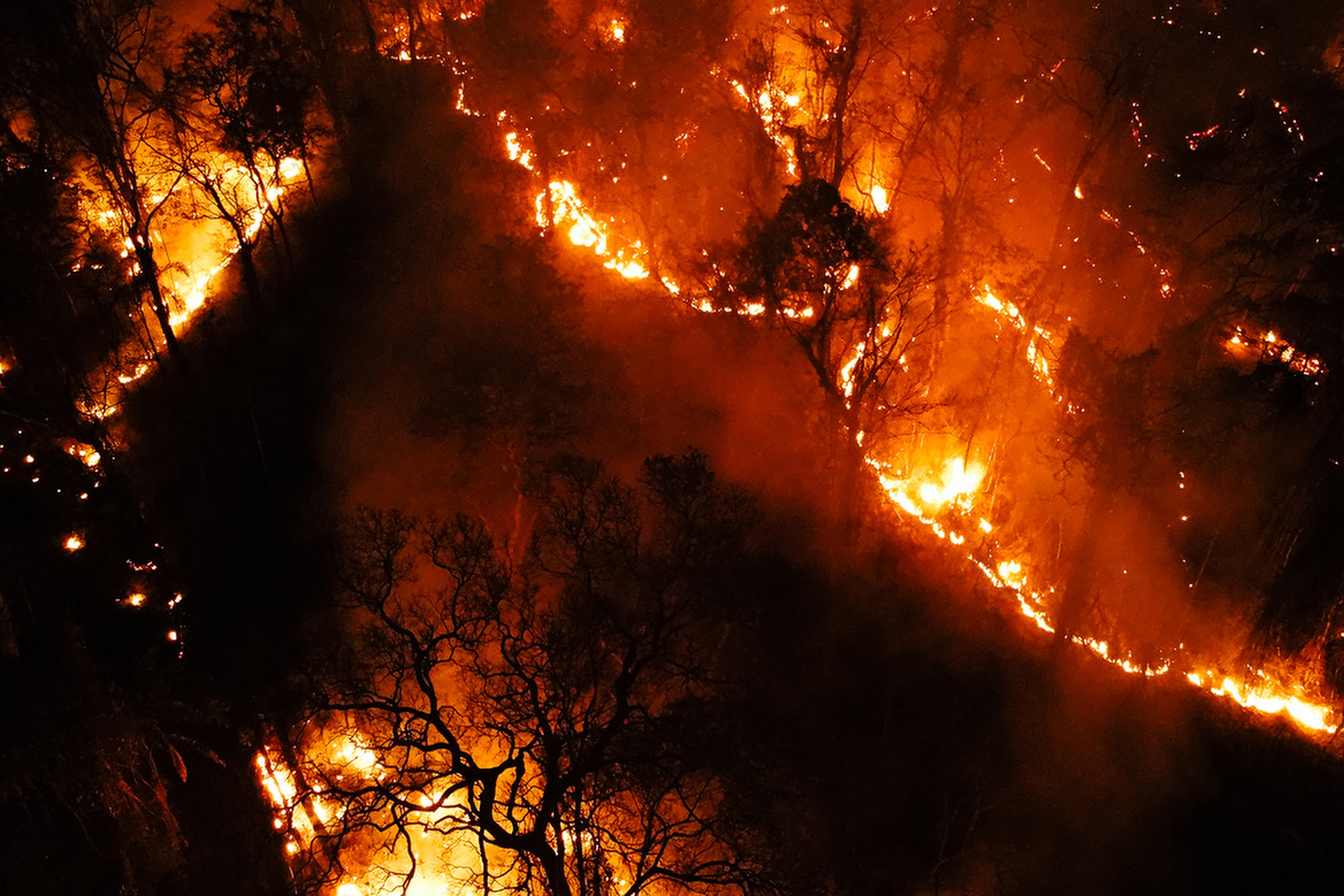 Burning in silence: Bolivia's forest fires and its threat to
