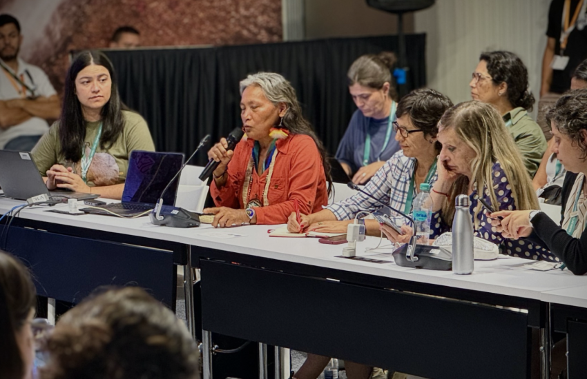 COP16 women defenders side event Foto Diego Coll / SPDA