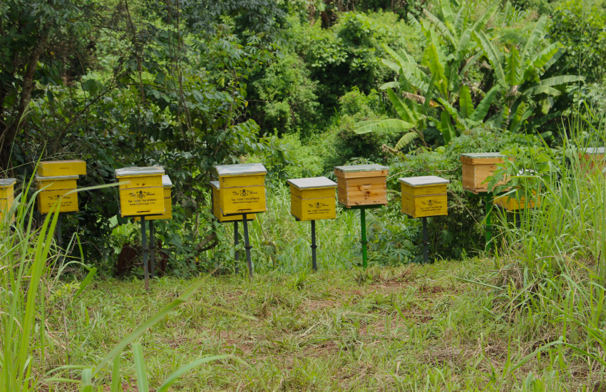 MoMo4C nature-based solutions in climate resilient landscapes