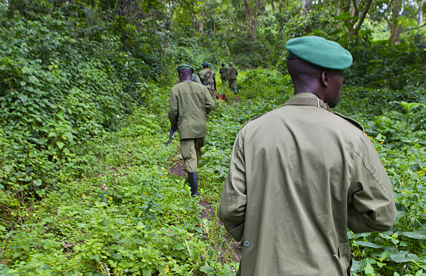 Rangers in Virunga National Park in the DRC