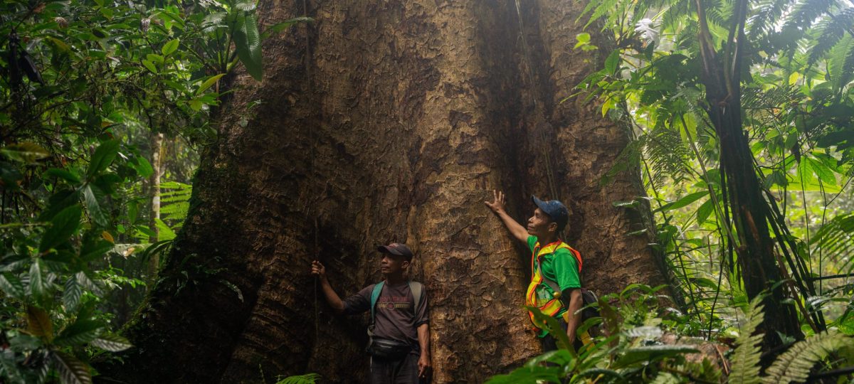Forest Patrol in Indonesia (c) Stephanie Broekarts/IUCN NL