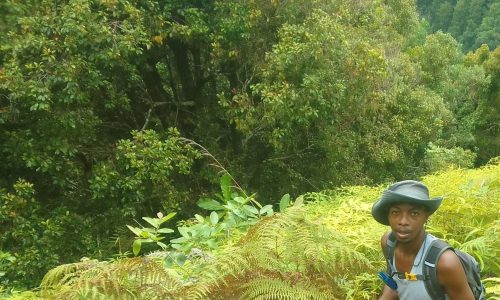 Amelaïd Houmadi from BEE Comores in the Mount Ntringui National Park
