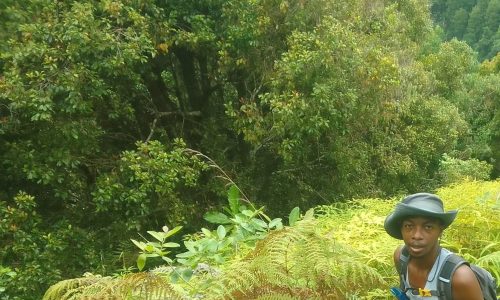 Amelaïd Houmadi from BEE Comores in the Mount Ntringui National Park