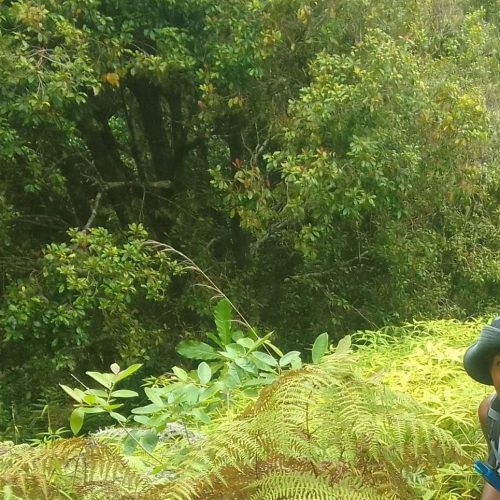 Amelaïd Houmadi from BEE Comores in the Mount Ntringui National Park