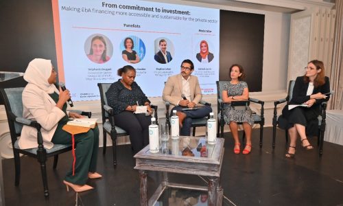 Regional panel discussion on EbA financing mechanisms, bringing together public institutions, development partners and financial sector representatives (c) Cap Business Océan Indien