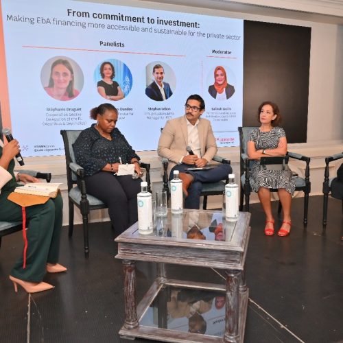 Regional panel discussion on EbA financing mechanisms, bringing together public institutions, development partners and financial sector representatives (c) Cap Business Océan Indien