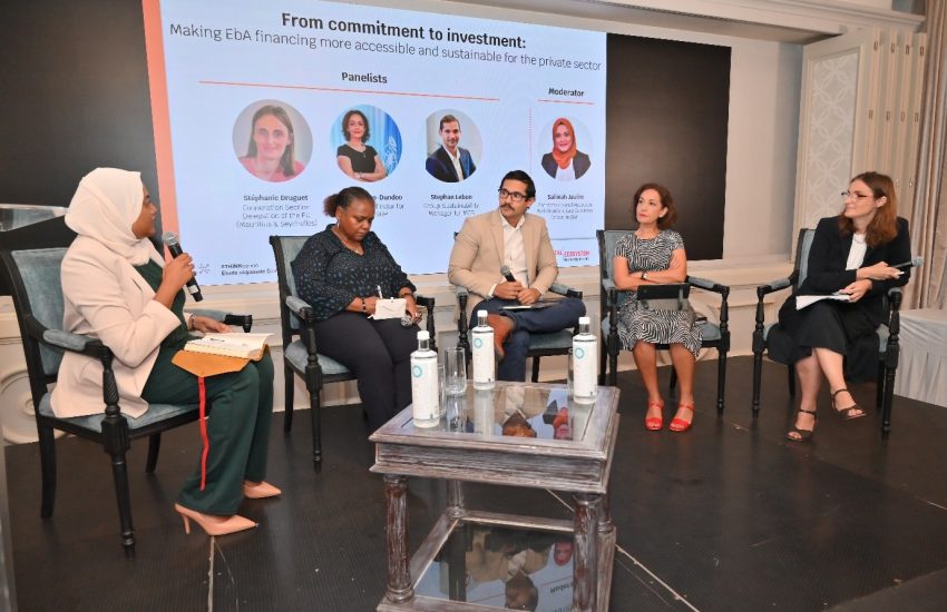 Regional panel discussion on EbA financing mechanisms, bringing together public institutions, development partners and financial sector representatives (c) Cap Business Océan Indien