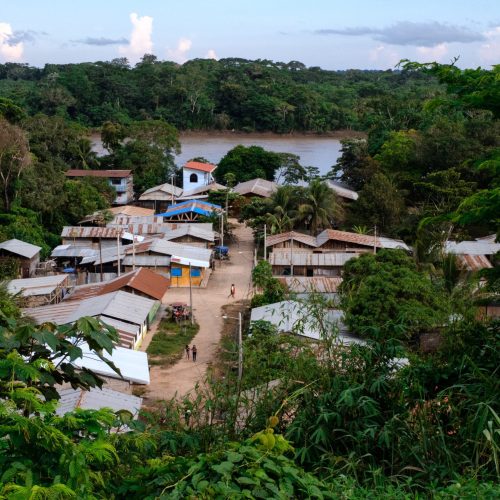 Tropical Forest Madre de Dios Tom Laffay