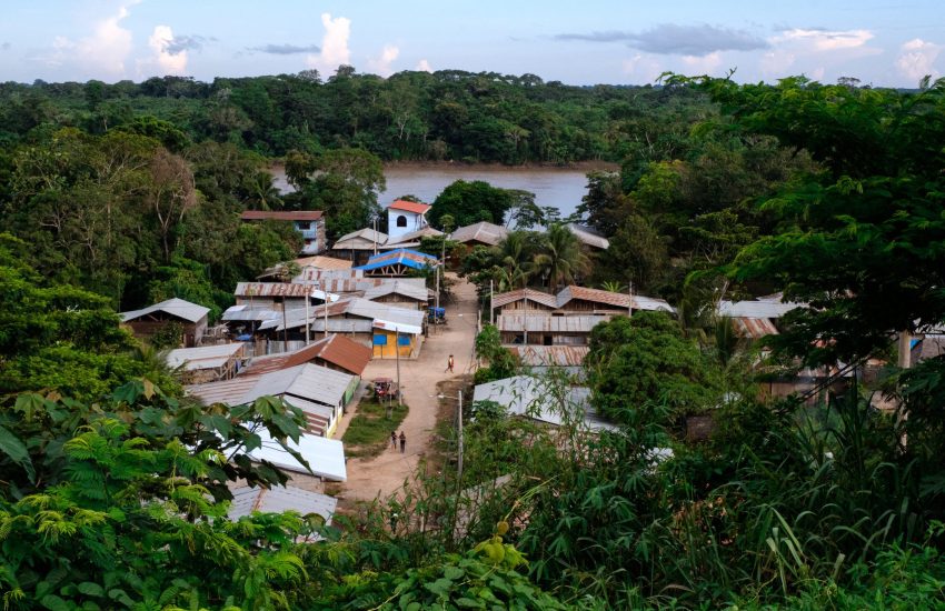Tropical Forest Madre de Dios Tom Laffay