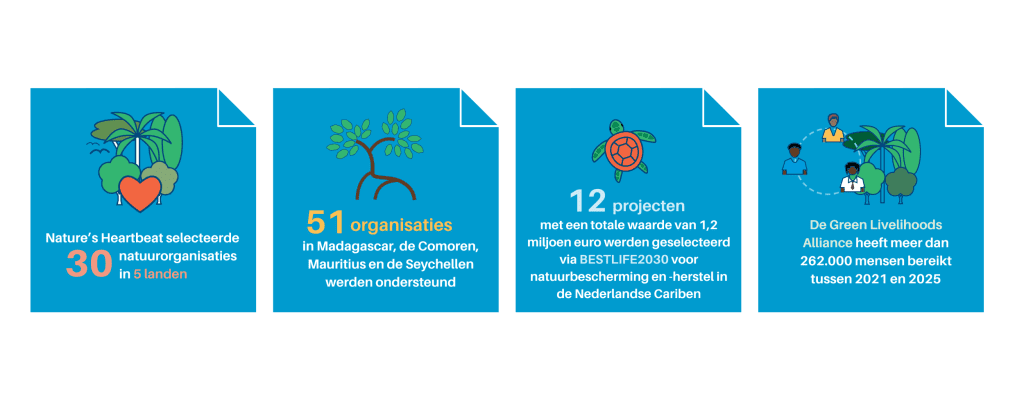 Onze impact in 2025