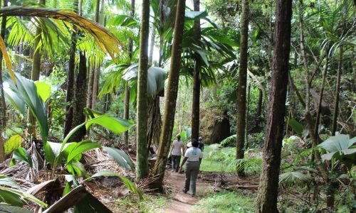 Photo : La Réserve Nature Trail © The Ministry of Environment, Climate, Energy and Natural Resources of the Seychelles