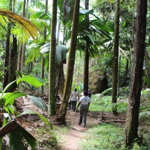 Photo : La Réserve Nature Trail © The Ministry of Environment, Climate, Energy and Natural Resources of the Seychelles