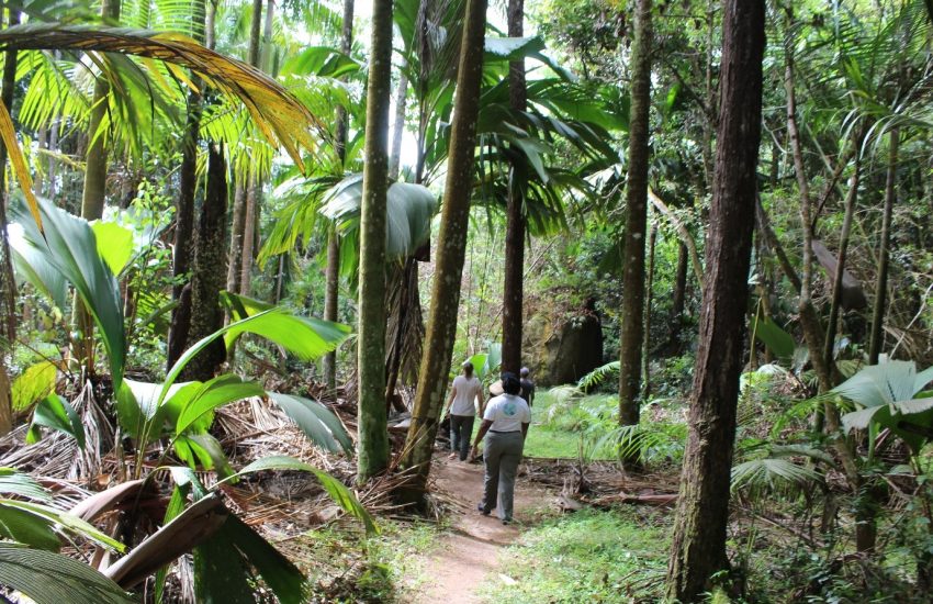 Photo : La Réserve Nature Trail © The Ministry of Environment, Climate, Energy and Natural Resources of the Seychelles